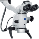 Endodontist in Wesley Chapel